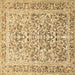 Square Machine Washable Persian Brown Traditional Rug, wshtr2552brn