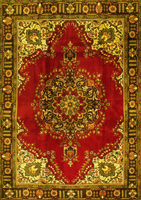 Medallion Yellow Traditional Rug, tr2557yw