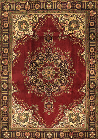 Medallion Brown Traditional Rug, tr2557brn