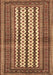 Southwestern Brown Country Rug, tr2561brn