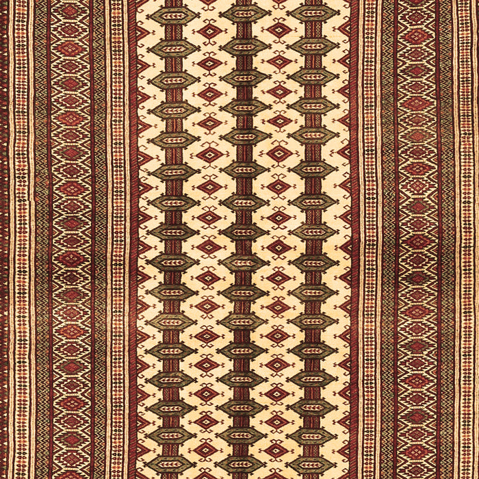 Machine Washable Southwestern Brown Country Rug, wshtr2561brn