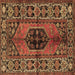 Square Machine Washable Persian Brown Traditional Rug, wshtr2562brn