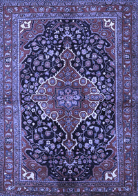 Medallion Blue Traditional Rug, tr2563blu