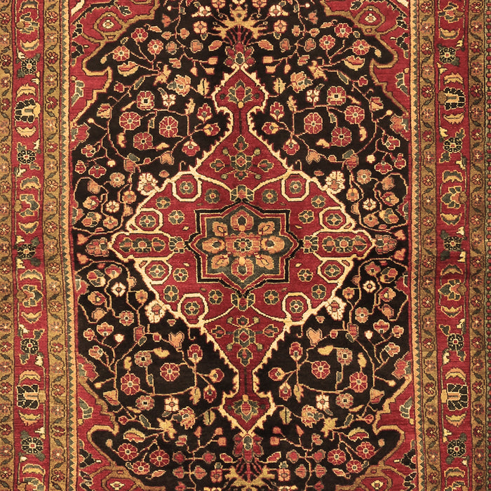 Medallion Brown Traditional Rug, tr2563brn