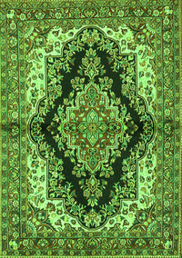 Medallion Green Traditional Rug, tr2567grn