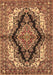 Medallion Brown Traditional Rug, tr2567brn