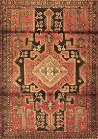 Persian Brown Traditional Rug, tr2568brn