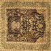 Square Machine Washable Animal Brown Traditional Rug, wshtr2569brn