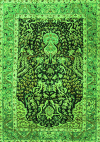 Animal Green Traditional Rug, tr2569grn