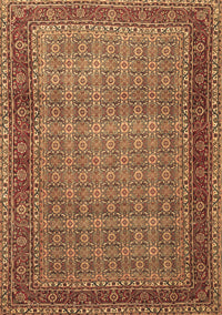 Persian Brown Traditional Rug, tr256brn