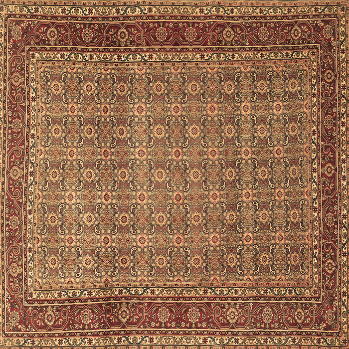 Square Machine Washable Persian Brown Traditional Rug, wshtr256brn