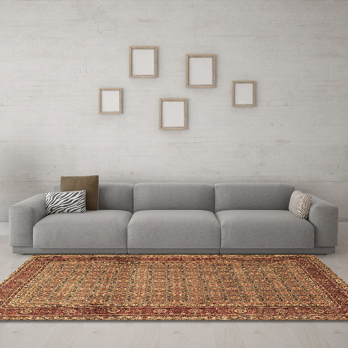 Machine Washable Persian Brown Traditional Rug in a Living Room,, wshtr256brn