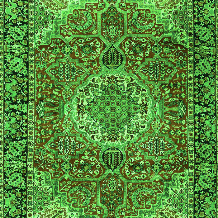 Medallion Green Traditional Rug, tr2570grn