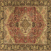 Square Machine Washable Medallion Brown Traditional Rug, wshtr2570brn