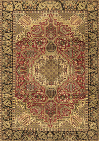 Medallion Brown Traditional Rug, tr2570brn