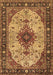 Machine Washable Medallion Brown Traditional Rug, wshtr2573brn