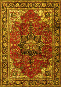 Medallion Yellow Traditional Rug, tr2575yw