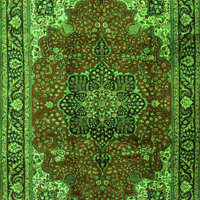 Medallion Green Traditional Rug, tr2575grn