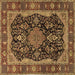 Square Machine Washable Persian Brown Traditional Rug, wshtr2577brn