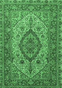 Medallion Emerald Green Traditional Rug, tr257emgrn