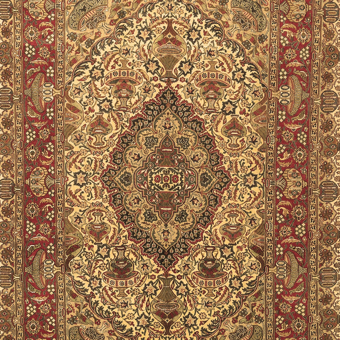 Medallion Brown Traditional Rug, tr257brn