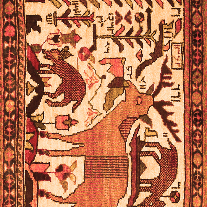 Serging Thickness of Machine Washable Animal Orange Traditional Area Rugs, wshtr2580org