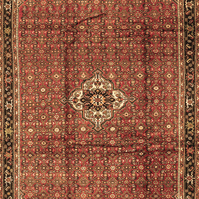 Persian Brown Traditional Rug, tr2585brn