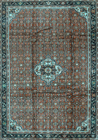 Persian Light Blue Traditional Rug, tr2585lblu