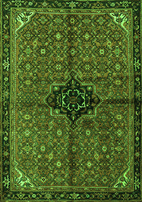 Persian Green Traditional Rug, tr2588grn