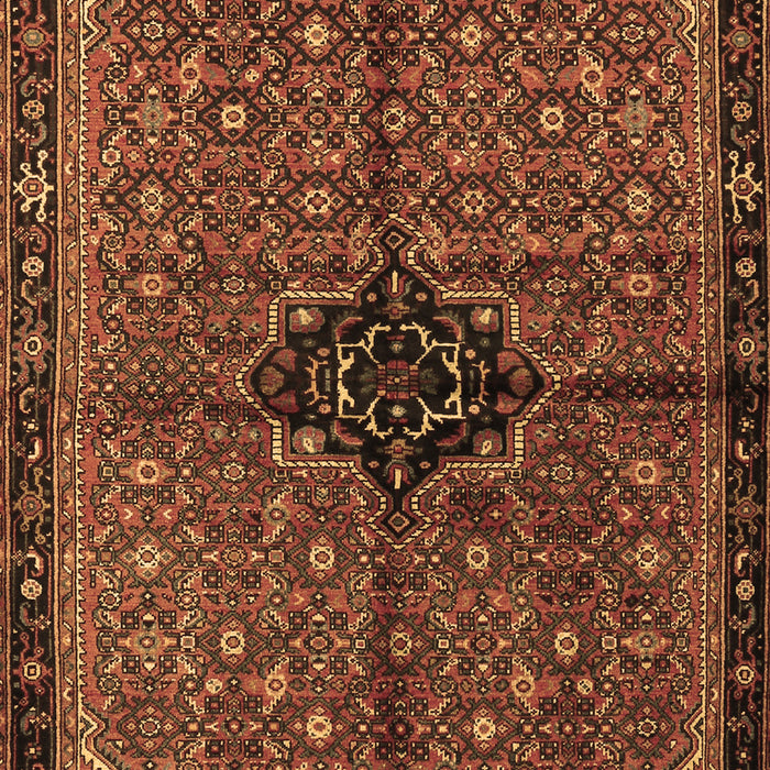 Persian Brown Traditional Rug, tr2588brn
