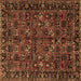 Square Persian Brown Traditional Rug, tr2591brn