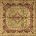 Square Machine Washable Persian Brown Traditional Rug, wshtr2592brn