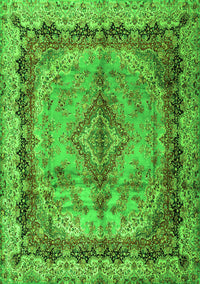 Persian Green Traditional Rug, tr2592grn