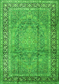 Persian Green Traditional Rug, tr2593grn