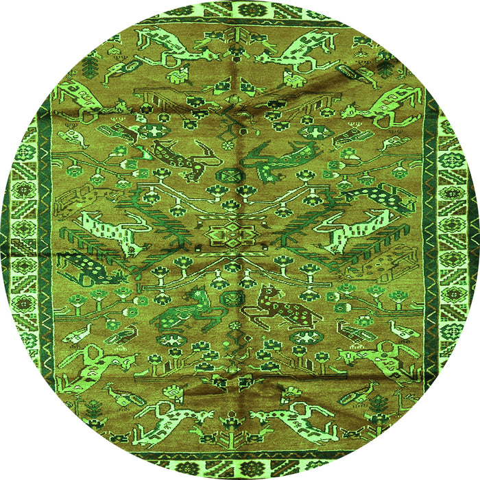 Square Animal Green Traditional Rug, tr2595grn
