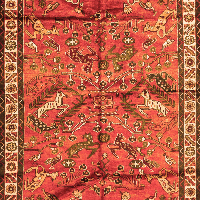 Animal Orange Traditional Rug, tr2595org