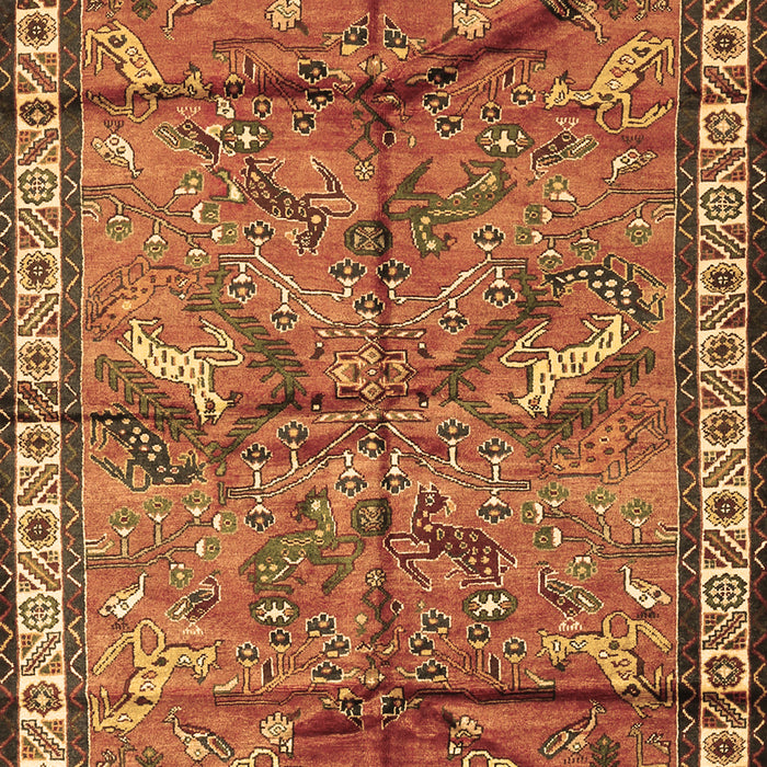 Animal Brown Traditional Rug, tr2595brn