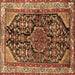 Square Persian Brown Traditional Rug, tr259brn