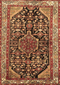 Persian Brown Traditional Rug, tr259brn