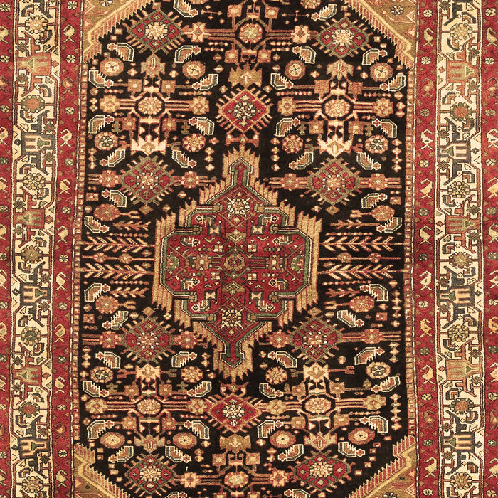 Machine Washable Persian Brown Traditional Rug, wshtr259brn