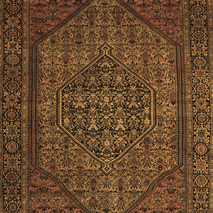 Machine Washable Persian Brown Traditional Rug, wshtr25brn