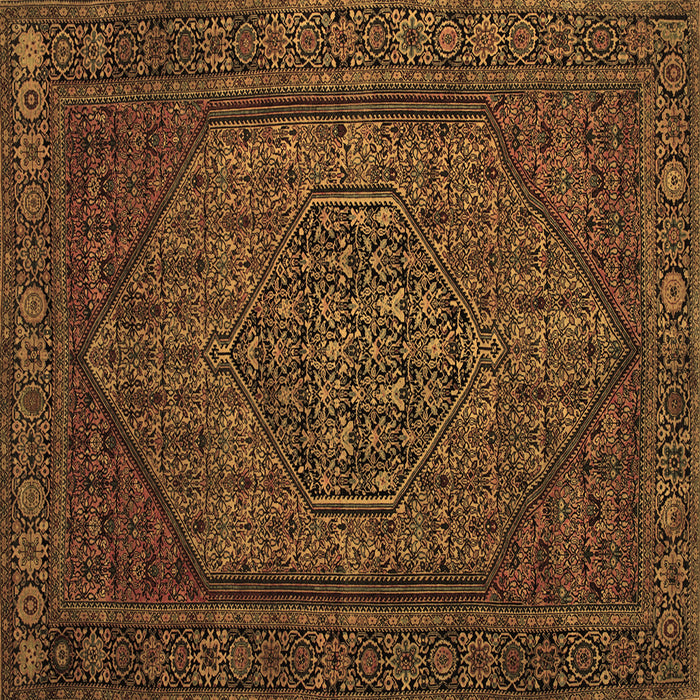 Square Machine Washable Persian Brown Traditional Rug, wshtr25brn