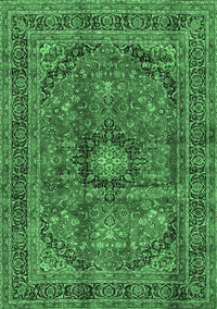 Medallion Emerald Green Traditional Rug, tr2601emgrn