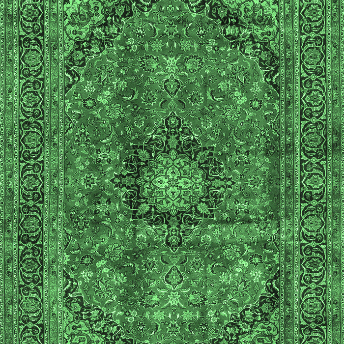 Medallion Emerald Green Traditional Rug, tr2601emgrn