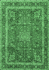 Persian Emerald Green Traditional Rug, tr2604emgrn
