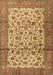 Machine Washable Persian Brown Traditional Rug, wshtr2609brn