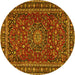 Round Machine Washable Persian Yellow Traditional Rug, wshtr2618yw