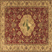 Square Persian Brown Traditional Rug, tr2619brn