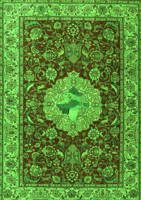 Persian Green Traditional Rug, tr2619grn