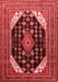 Medallion Red Traditional Area Rugs